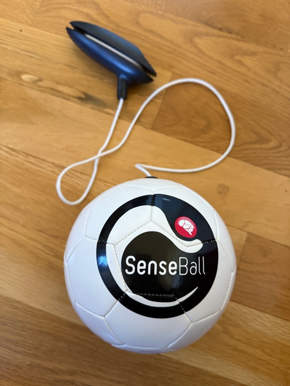 SenseBall specialized  Soccer Training Ball with string, beginner.